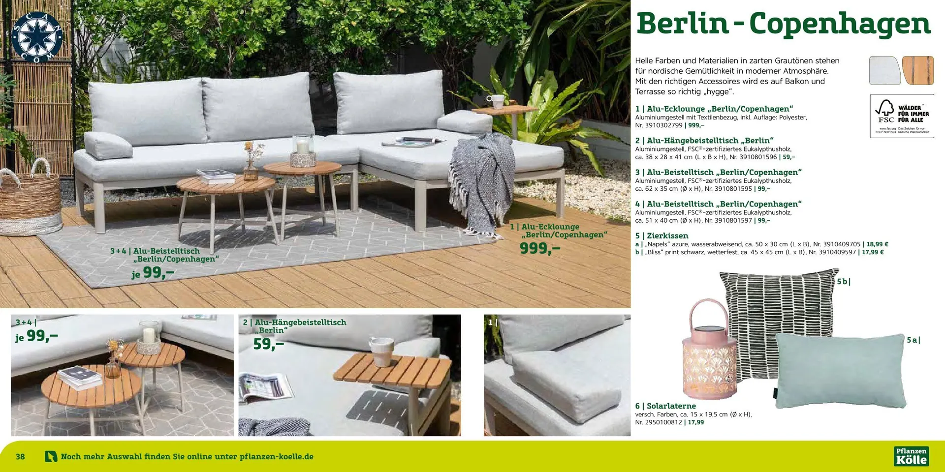 Prospekt Pflanzen-Kölle von 12. August bis 7. September 2025 - Prospekt seite 20