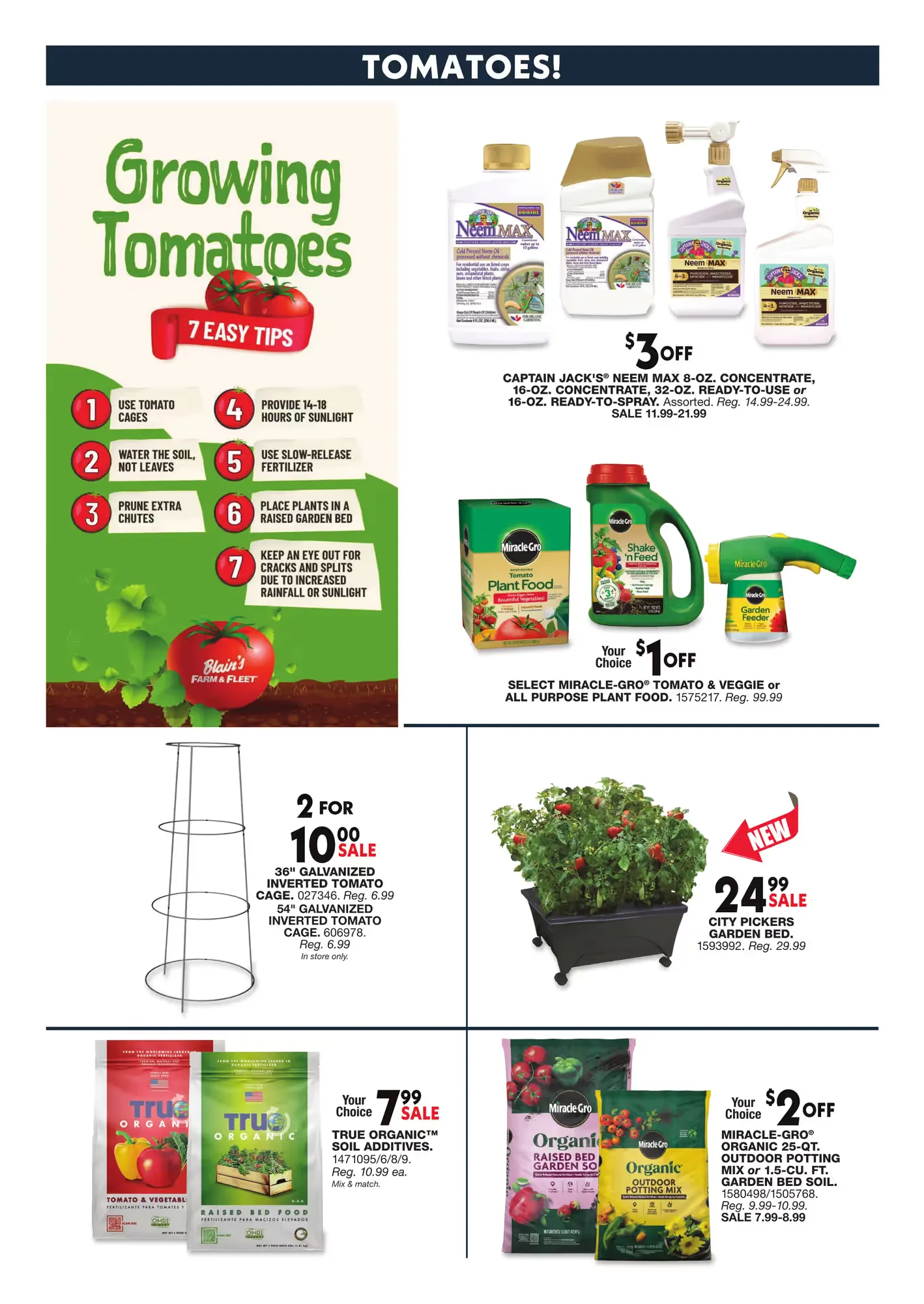Weekly ad Weekly ads from May 15 to May 25 2025 - Page 19