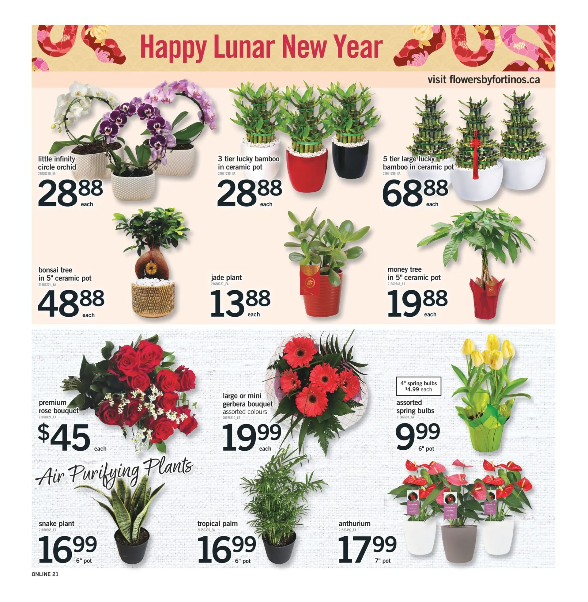 Fortinos Sales from January 9 to January 15 2025 - flyer page 20