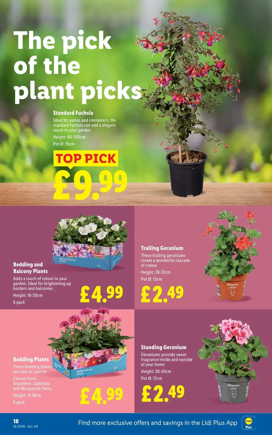 Lidl catalogues from 16 April to 22 April 2026 - Catalogue Page 20