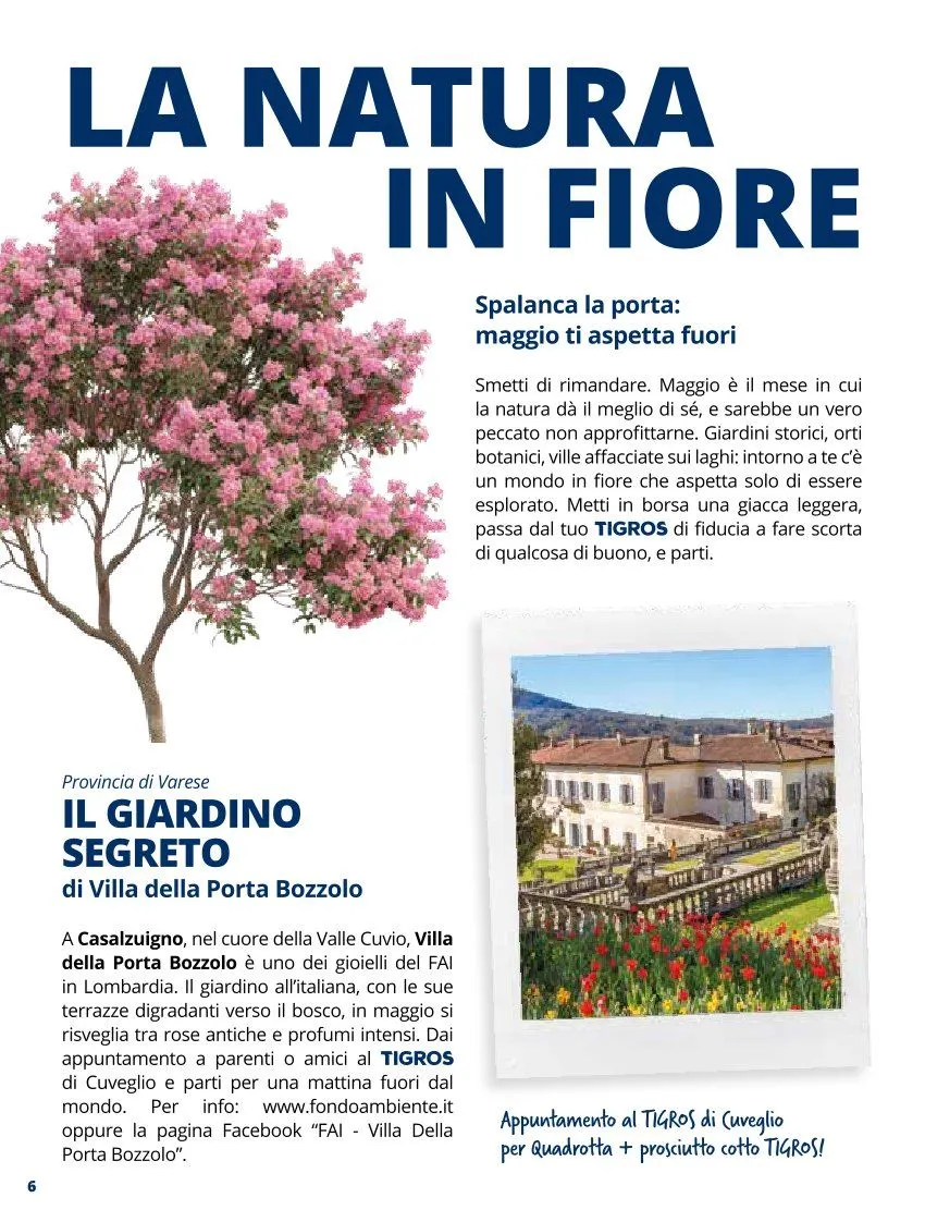 TIGROS da 1 maggio a 31 maggio di 2026 - Pagina del volantino 2