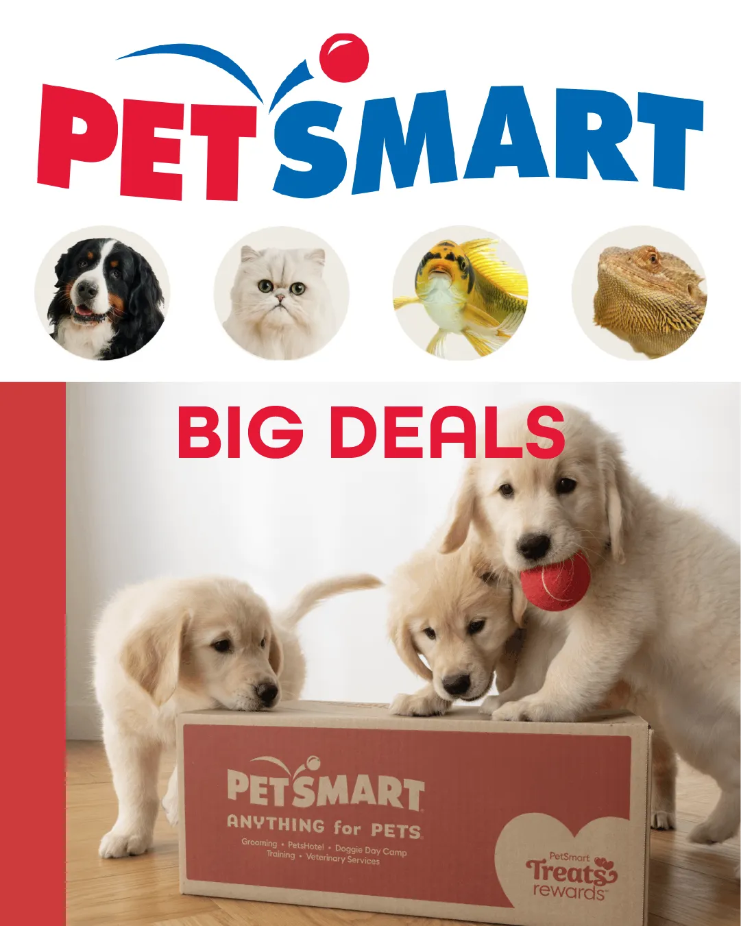 Weekly ad Weekly ads from March 18 to April 3 2026 - Page 