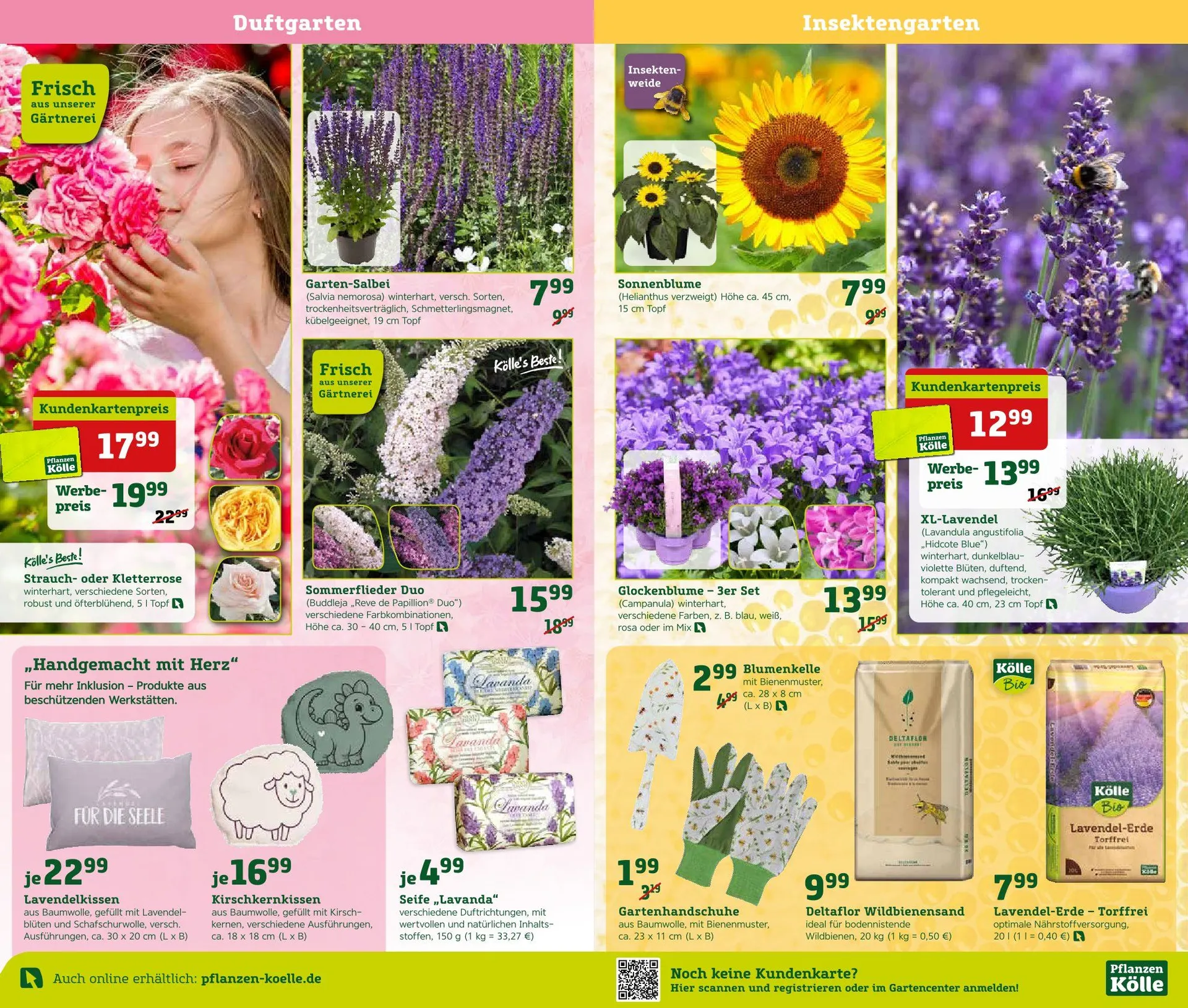 Pflanzen-Kölle Prospekte von 16. Mai bis 18. Mai 2025 - Prospekt seite 8
