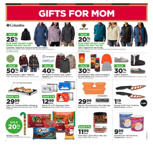 Weekly ad Fleet Farm Sales from December 11 to December 24 2025 - Page 2