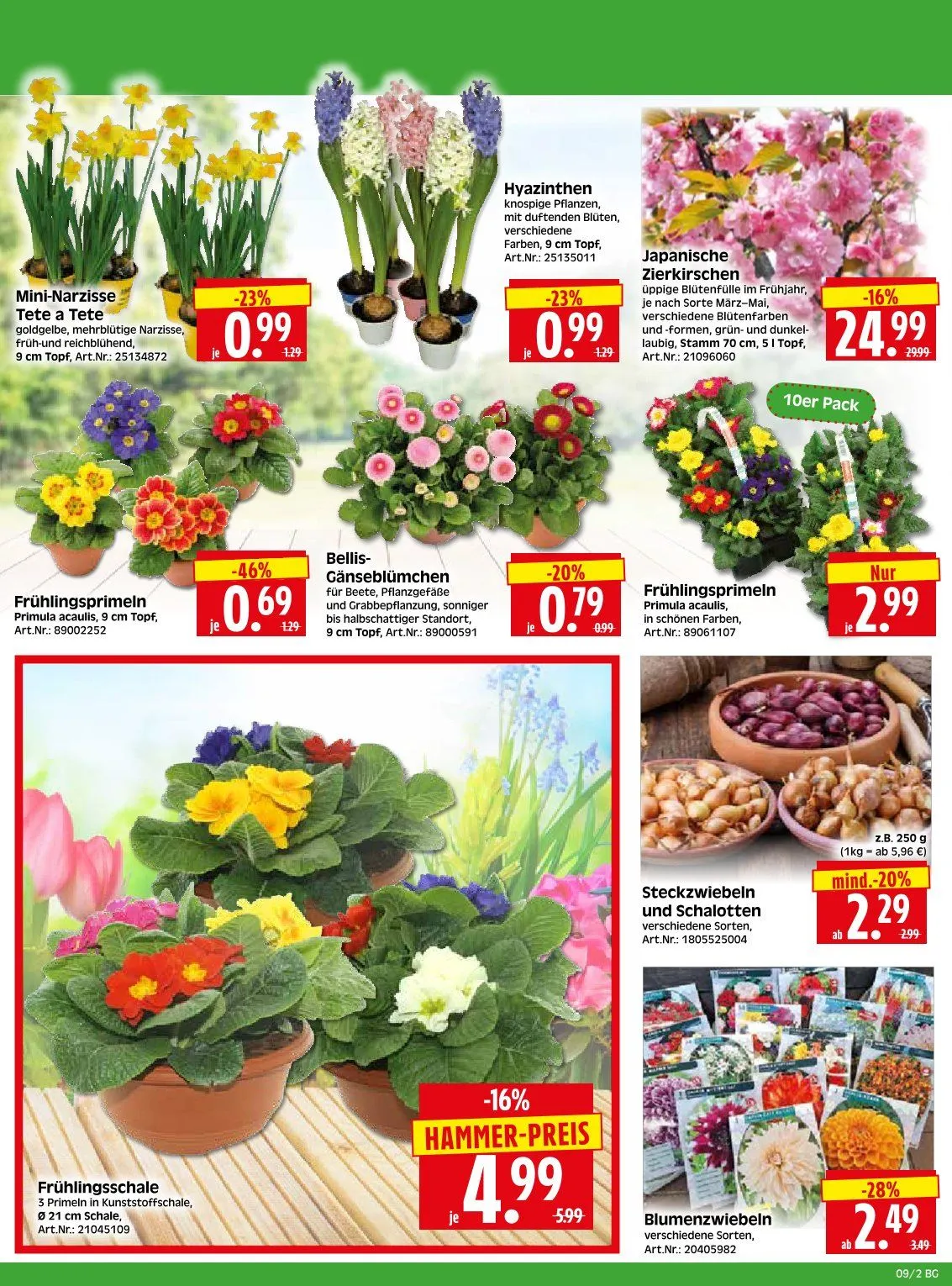 Herkules Baumarkt Angebote von 25. Februar bis 28. Februar 2026 - Prospekt seite 2