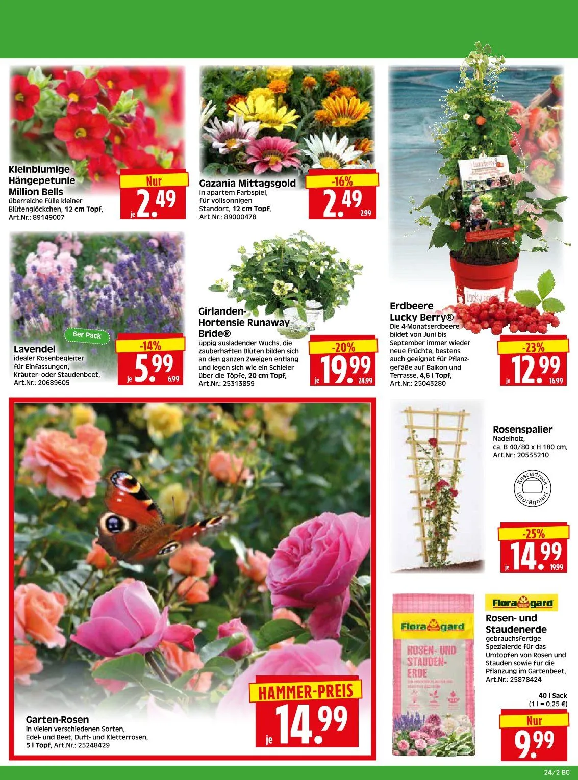 Herkules Baumarkt Angebote von 8. Juni bis 13. Juni 2026 - Prospekt seite 2