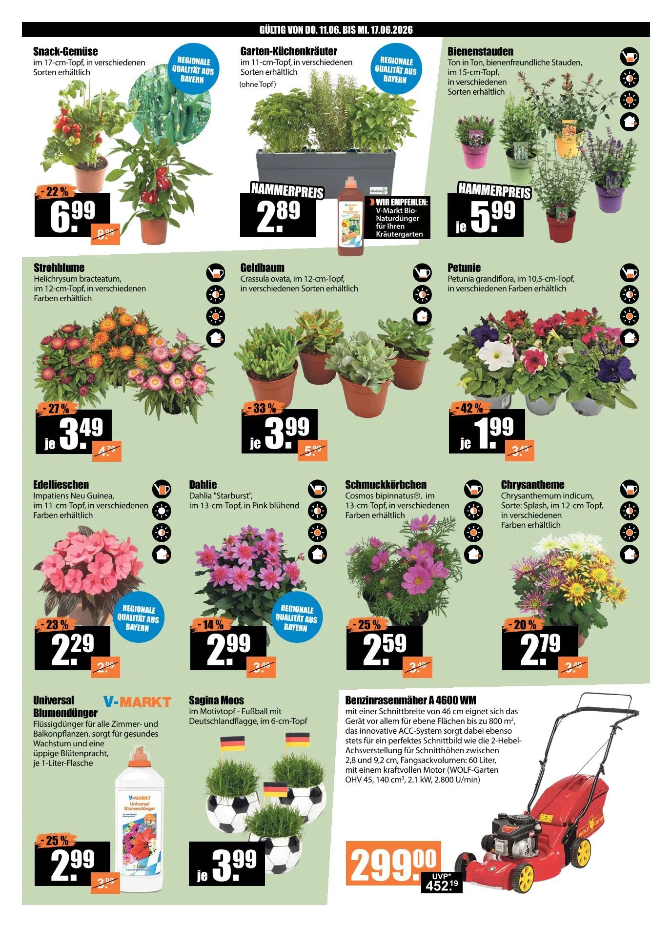 V-Baumarkt Angebote von 11. Juni bis 17. Juni 2026 - Prospekt seite 2