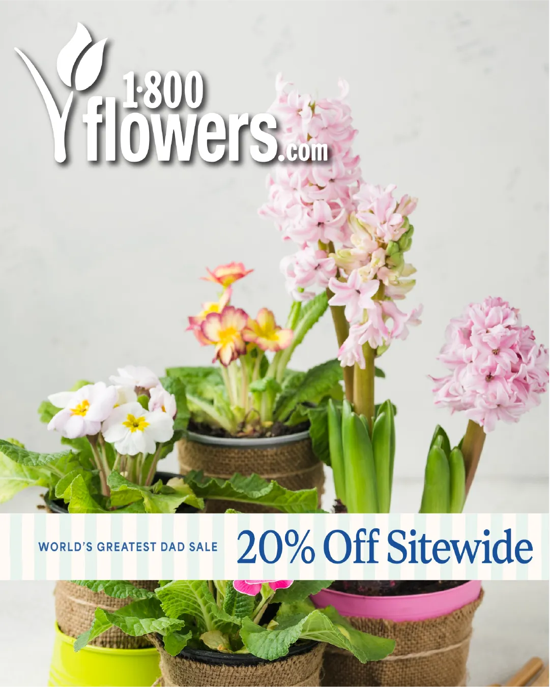 Weekly ad 1-800 Flowers Sales from June 17 to July 1 2026 - Page 