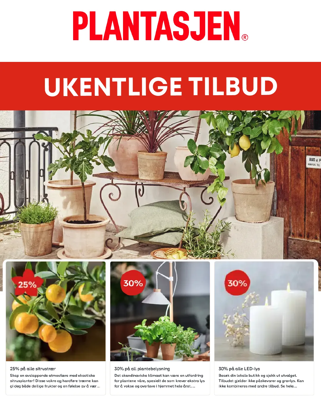 Plantasjen Deals fra 20. februar til 28. februar 2025 - kundeavisside 