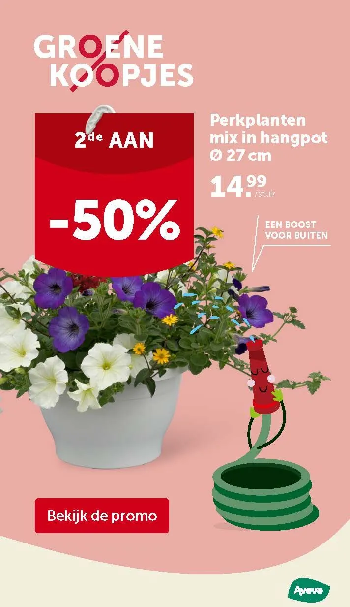 Speciale aanbiedingen van Aveve van 28 mei tot 1 juni 2025 - Folder pagina 2