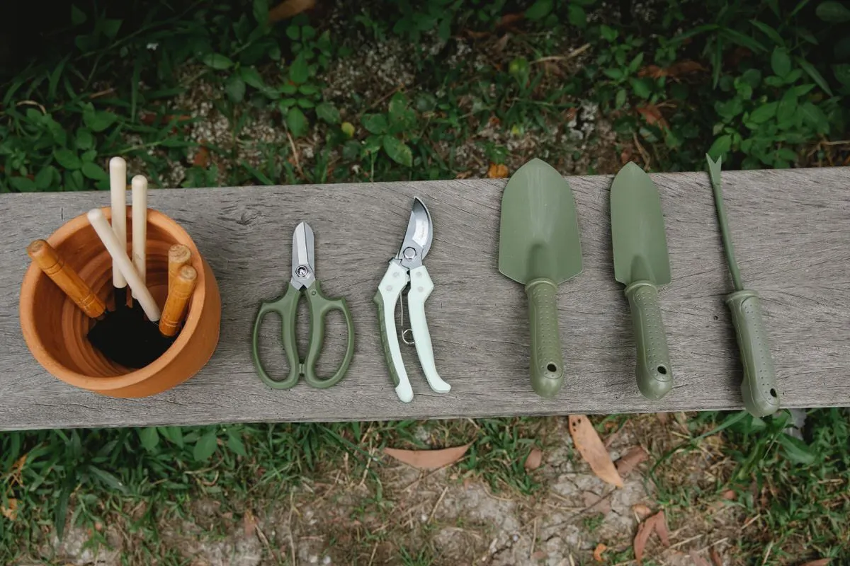 Essential garden tools you need in your house