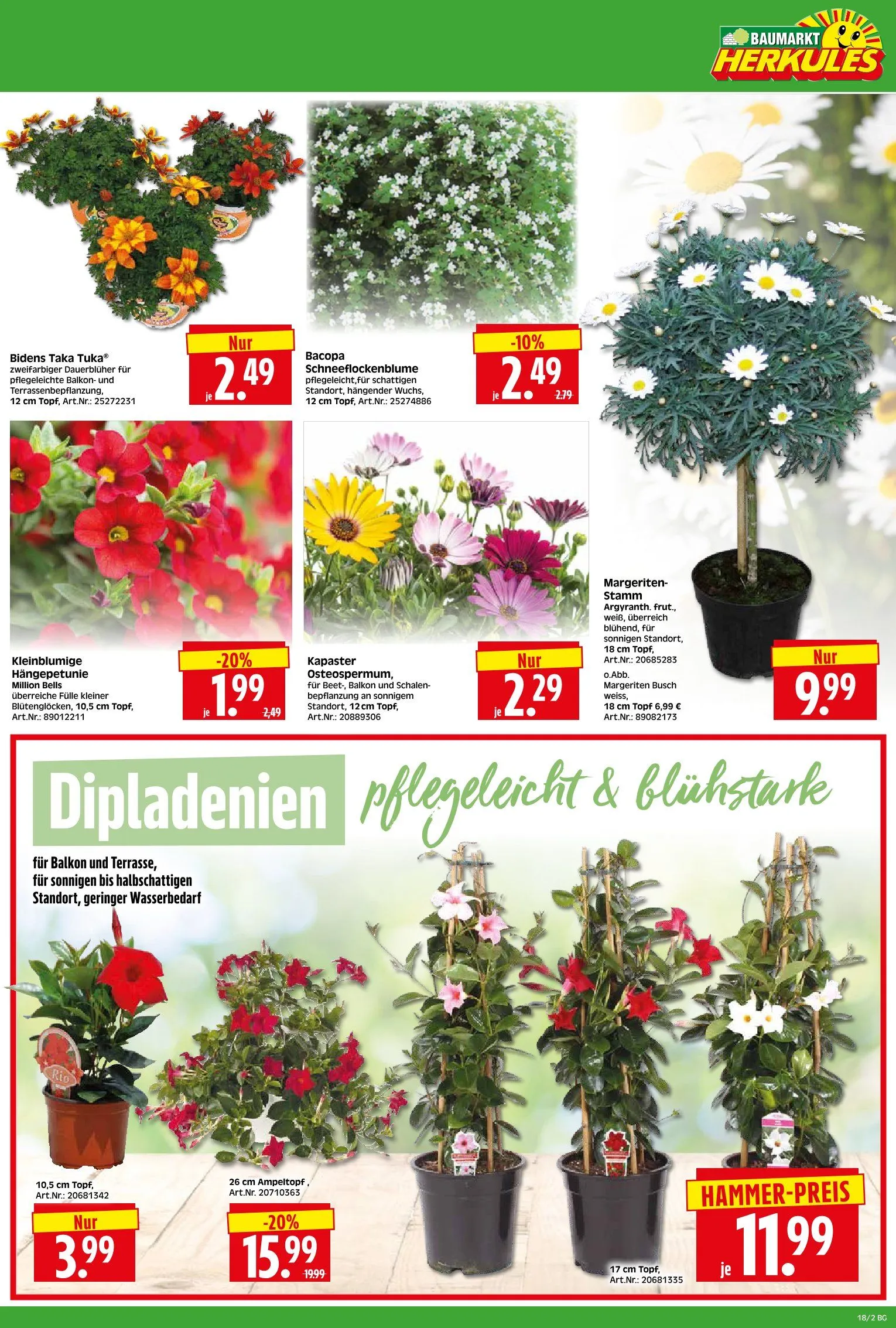 Herkules Baumarkt Angebote von 27. April bis 2. Mai 2026 - Prospekt seite 2