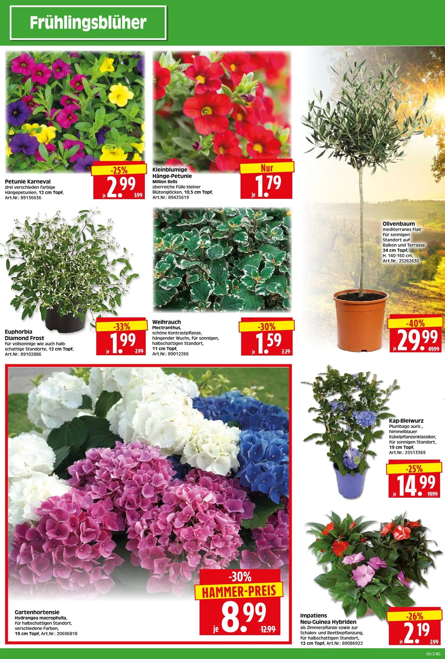 Herkules Baumarkt Prospekte von 5. Mai bis 10. Mai 2025 - Prospekt seite 2