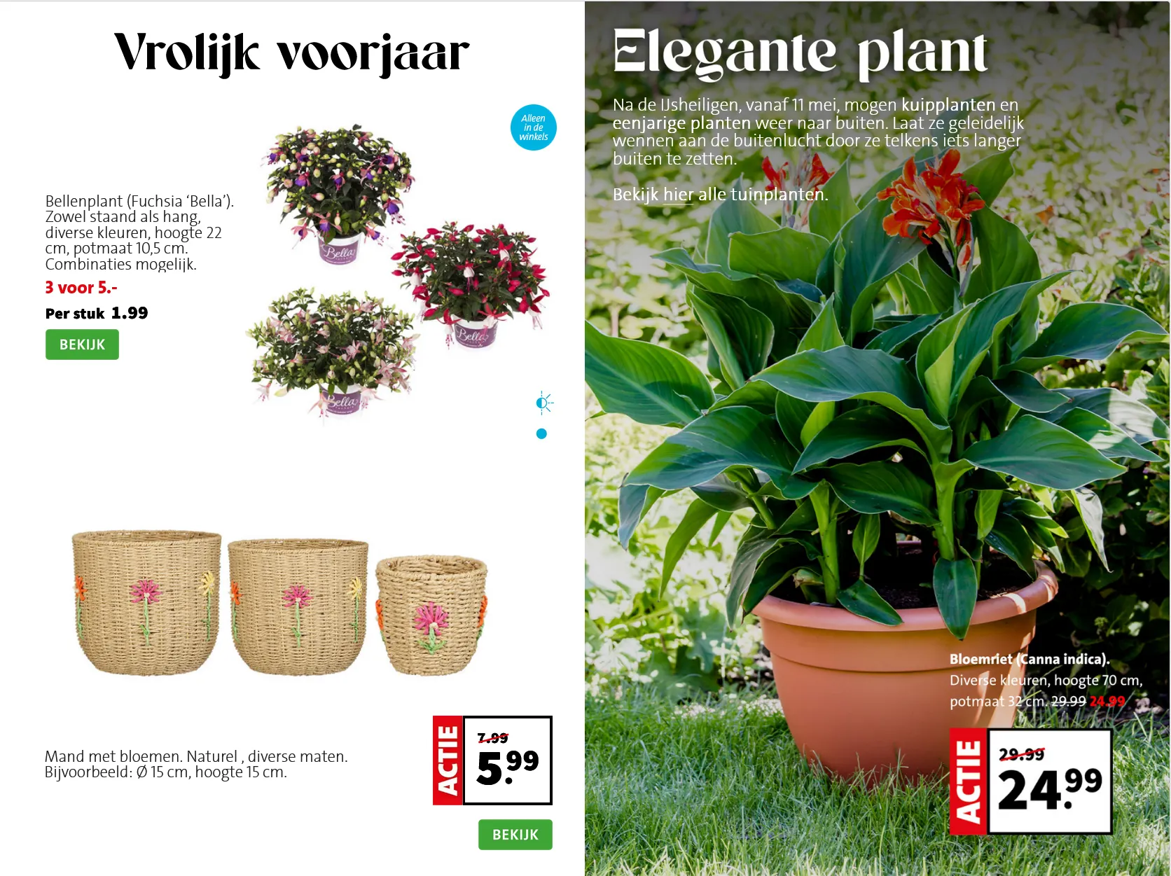 Intratuin folders van 11 mei tot 17 mei 2026 - Folder pagina 2