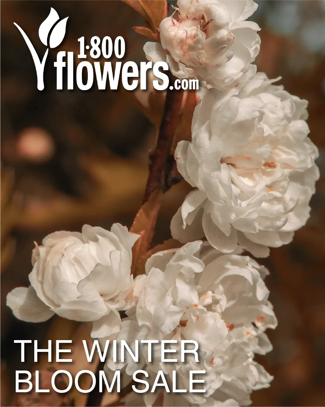 Weekly ad Weekly ads from January 7 to January 21 2026 - Page