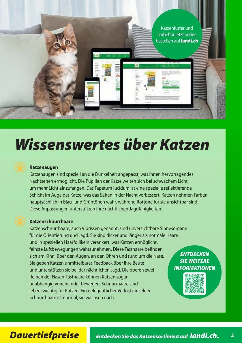 LANDI - bitscat von 13. Januar bis 31. Dezember 2025 - Prospekt seite 2