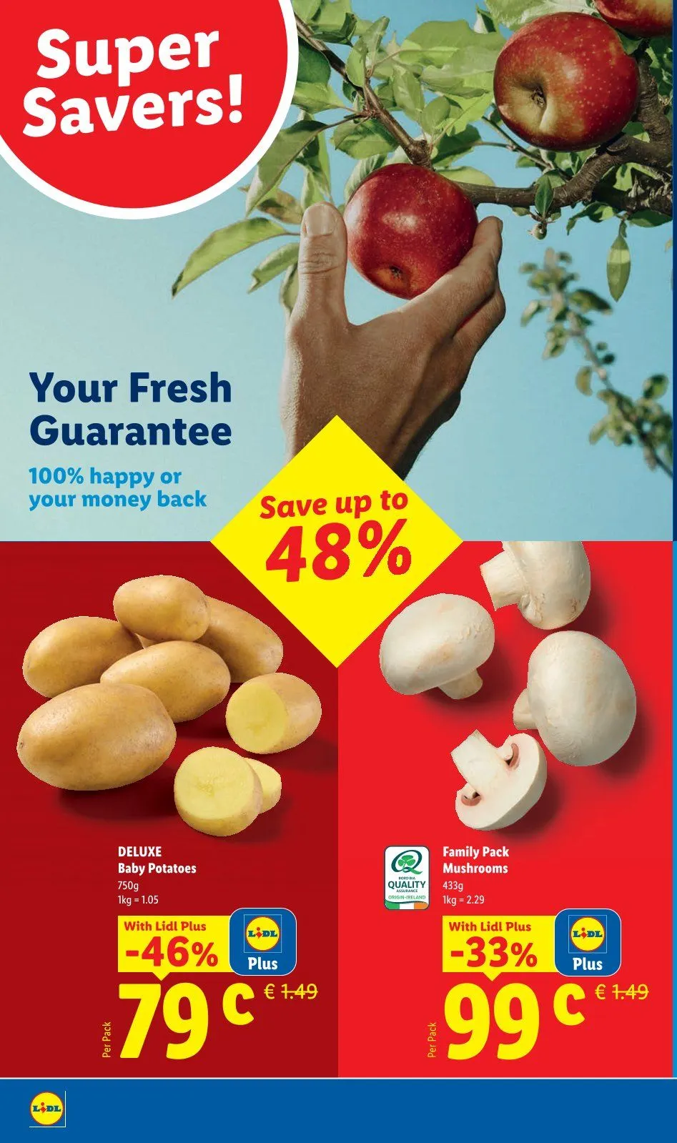 Lidl weekly ads - 21 May 27 May 2026 - Page 2