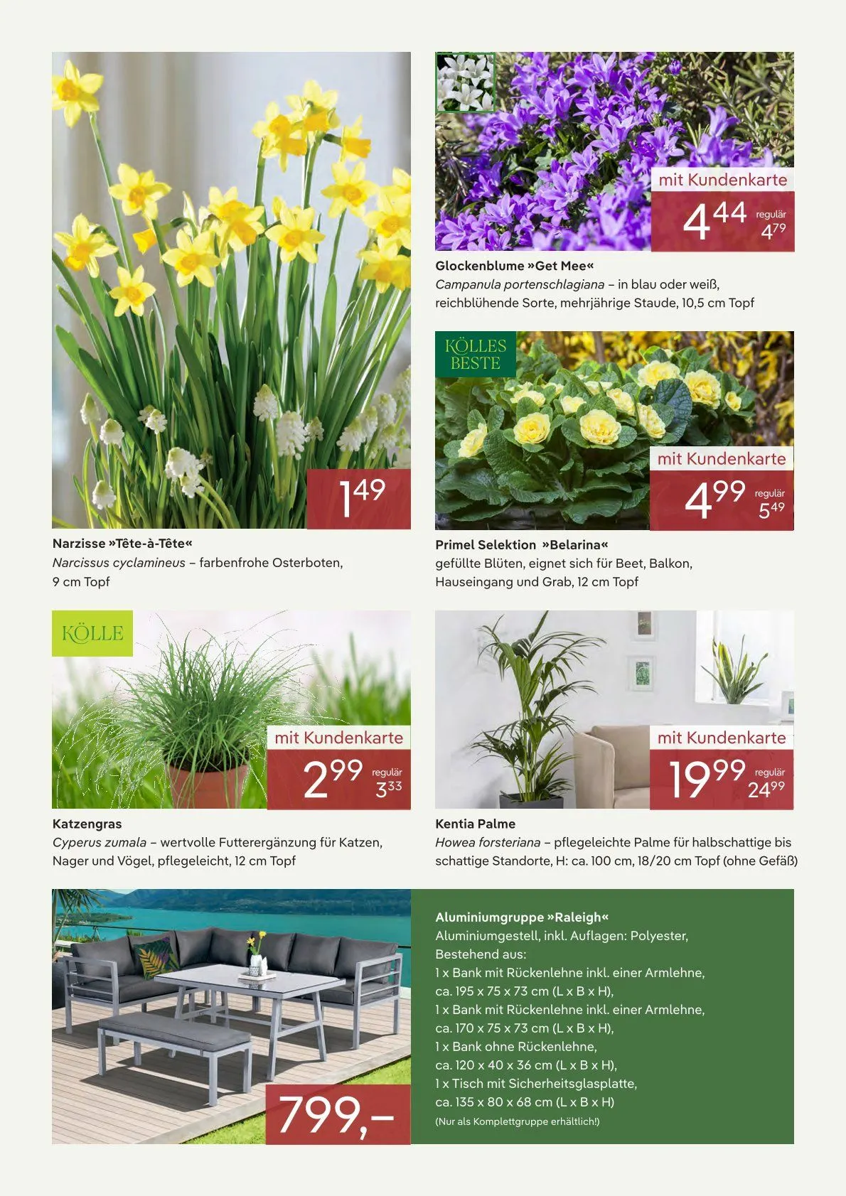 Pflanzen-Kölle Prospekte von 22. Januar bis 31. Januar 2026 - Prospekt seite 2