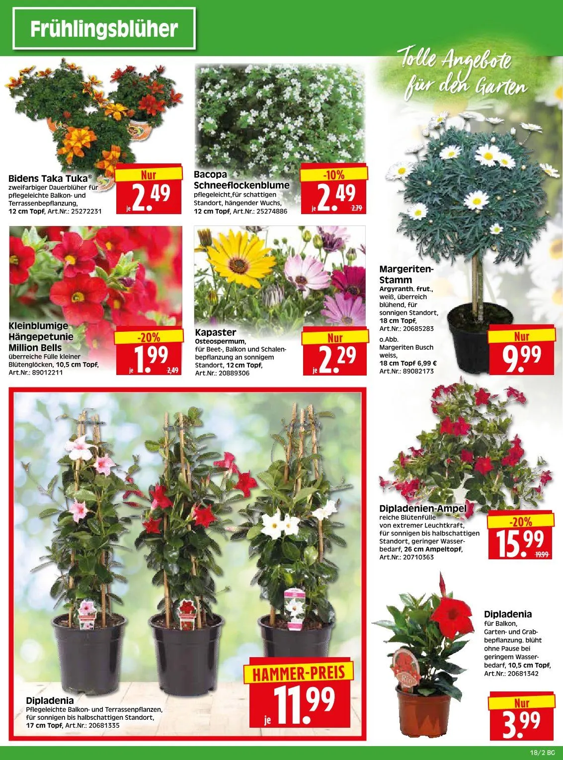 Herkules Baumarkt Angebote von 28. April bis 3. Mai 2025 - Prospekt seite 2