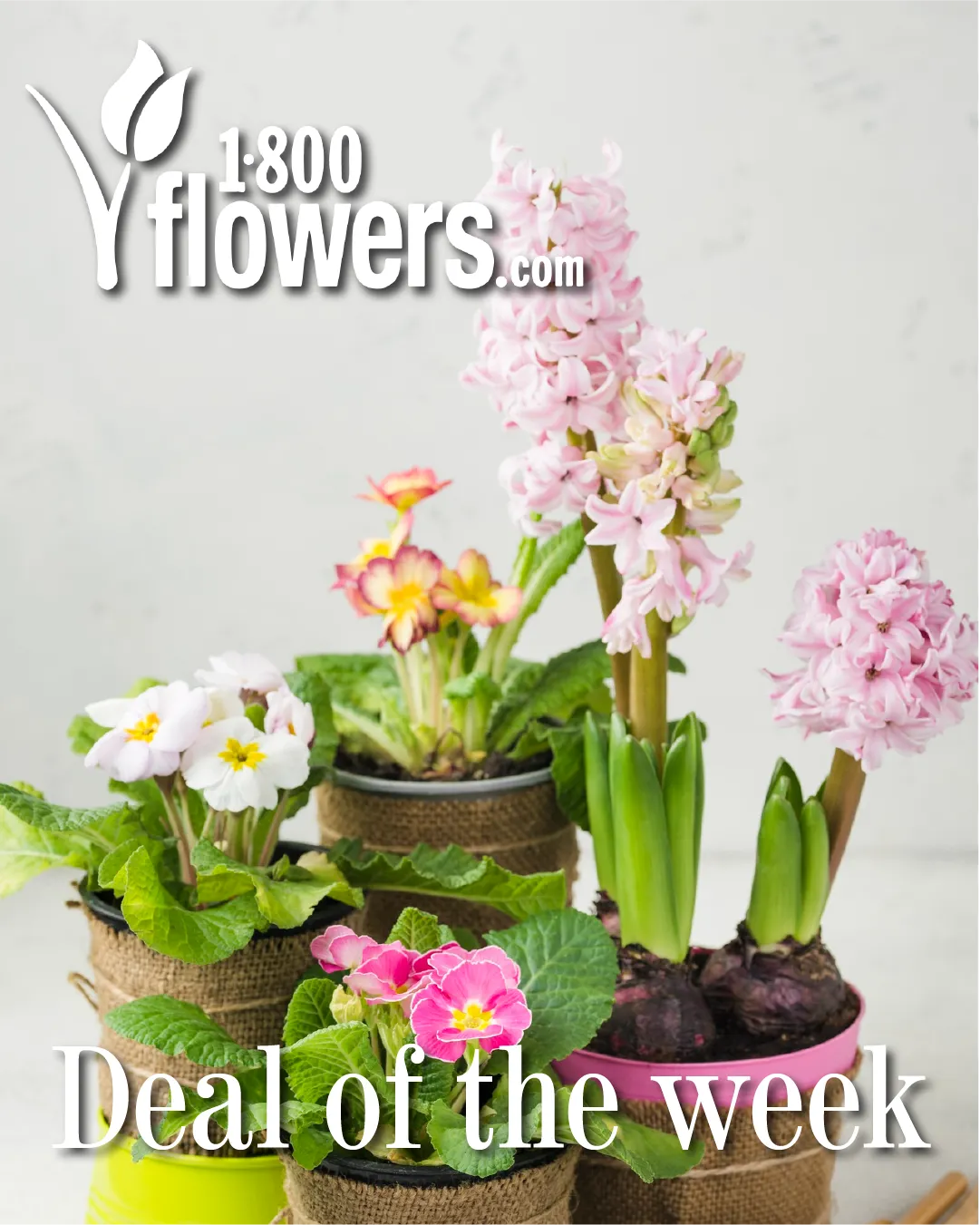 Weekly ad 1-800 Flowers Sales from April 9 to April 30 2026 - Page 1