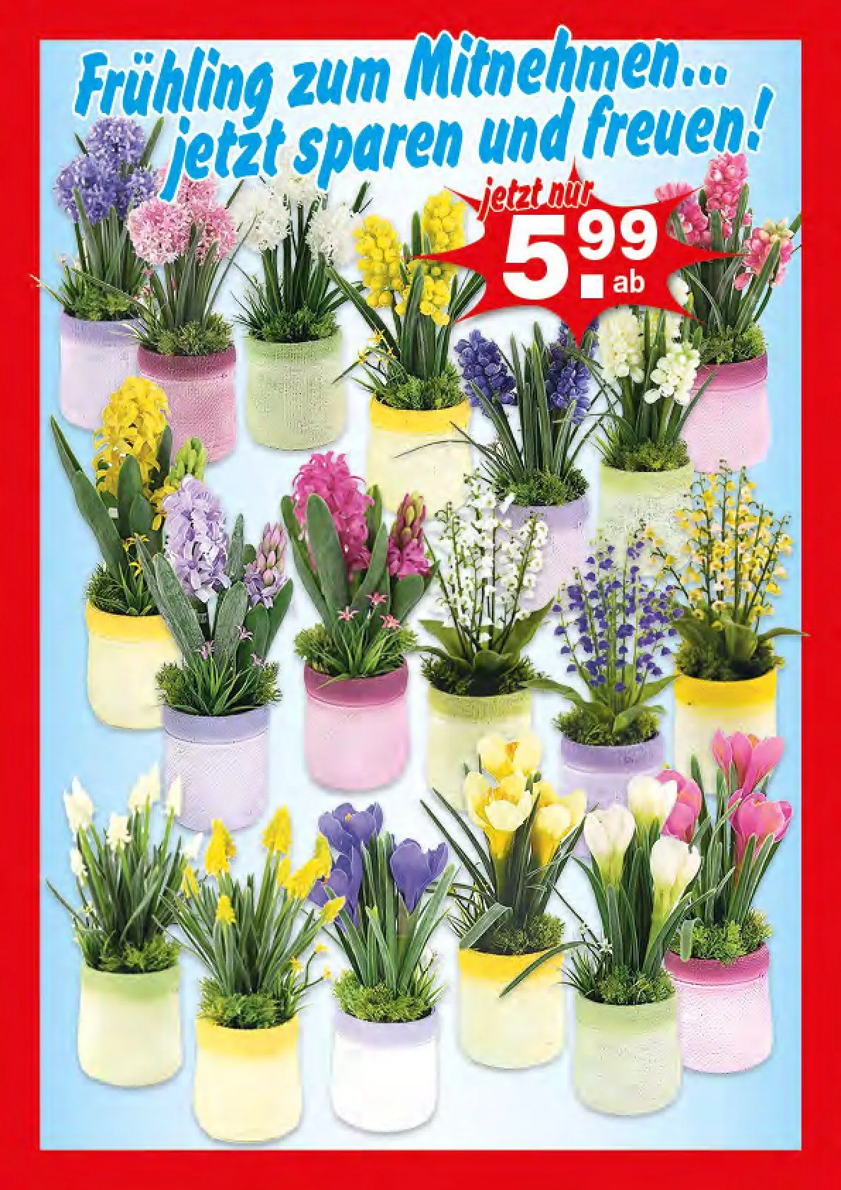 Krümet Sonderposten Prospekte von 19. Januar bis 24. Januar 2026 - Prospekt seite 2