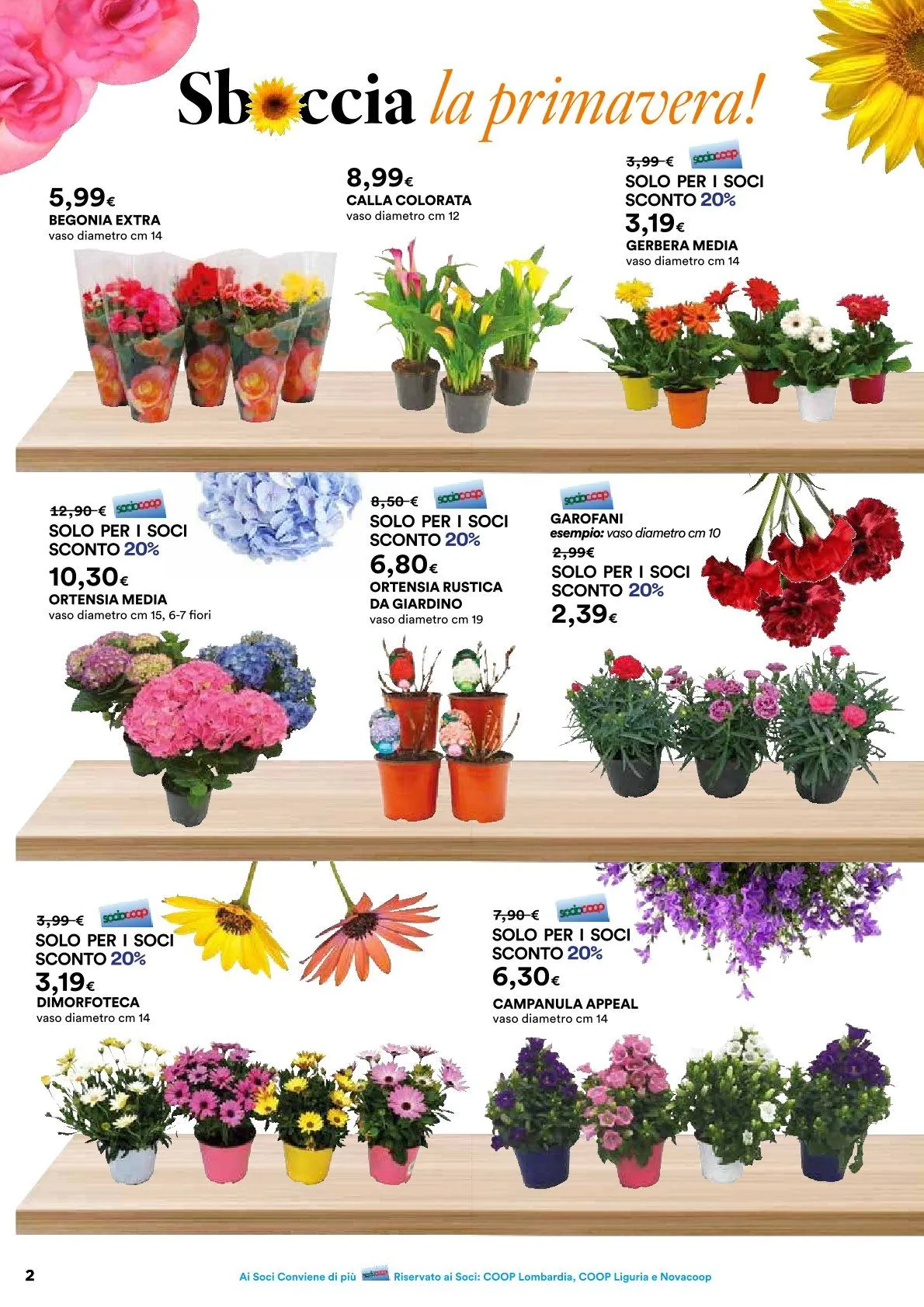 Ipercoop Volantino da 20 febbraio a 26 marzo di 2025 - Pagina del volantino 2