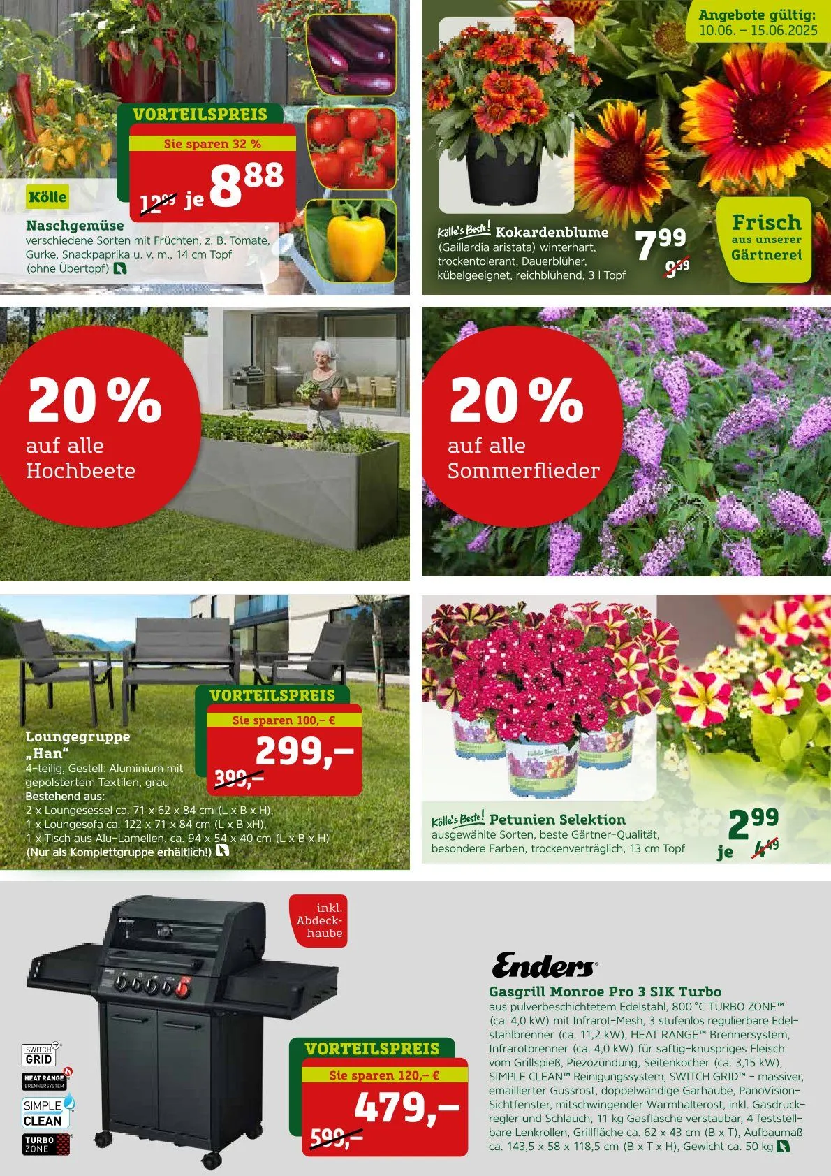 Pflanzen-Kölle Prospekt von 12. Juni bis 14. Juni 2025 - Prospekt seite 2