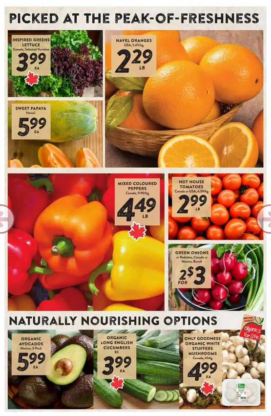 Nesters Market Sales from April 30 to May 6 2026 - flyer page 2