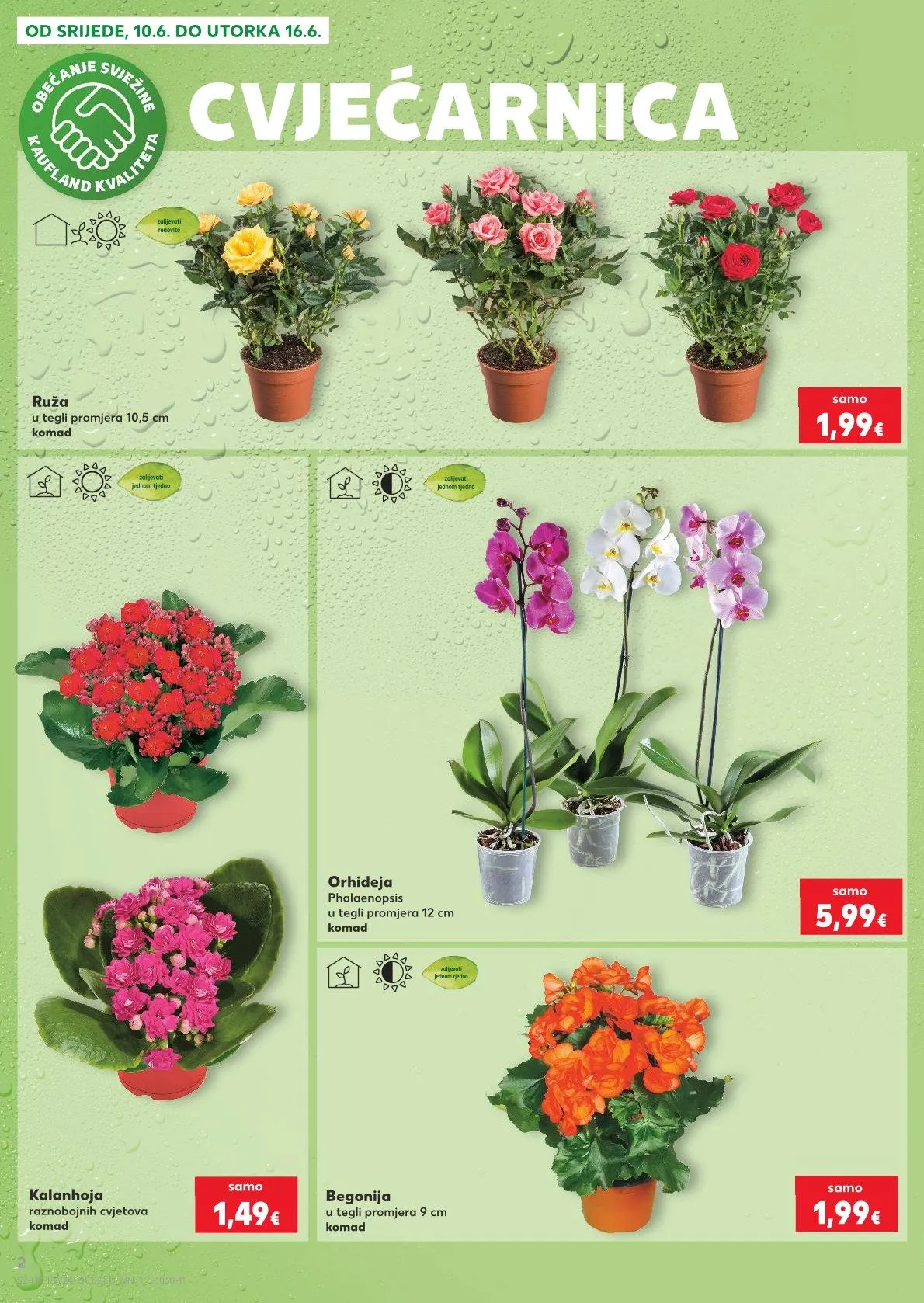 Katalog Kaufland od 10. lipnja do 16. lipnja 2026. - Pregled Stranica 2