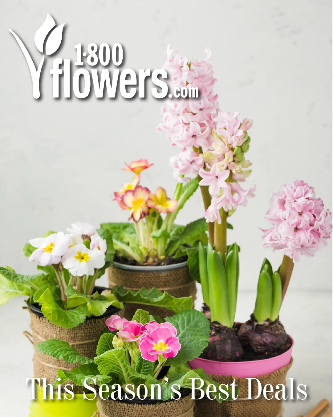 Weekly ad 1-800 Flowers Sales from May 29 to June 12 2026 - Page 