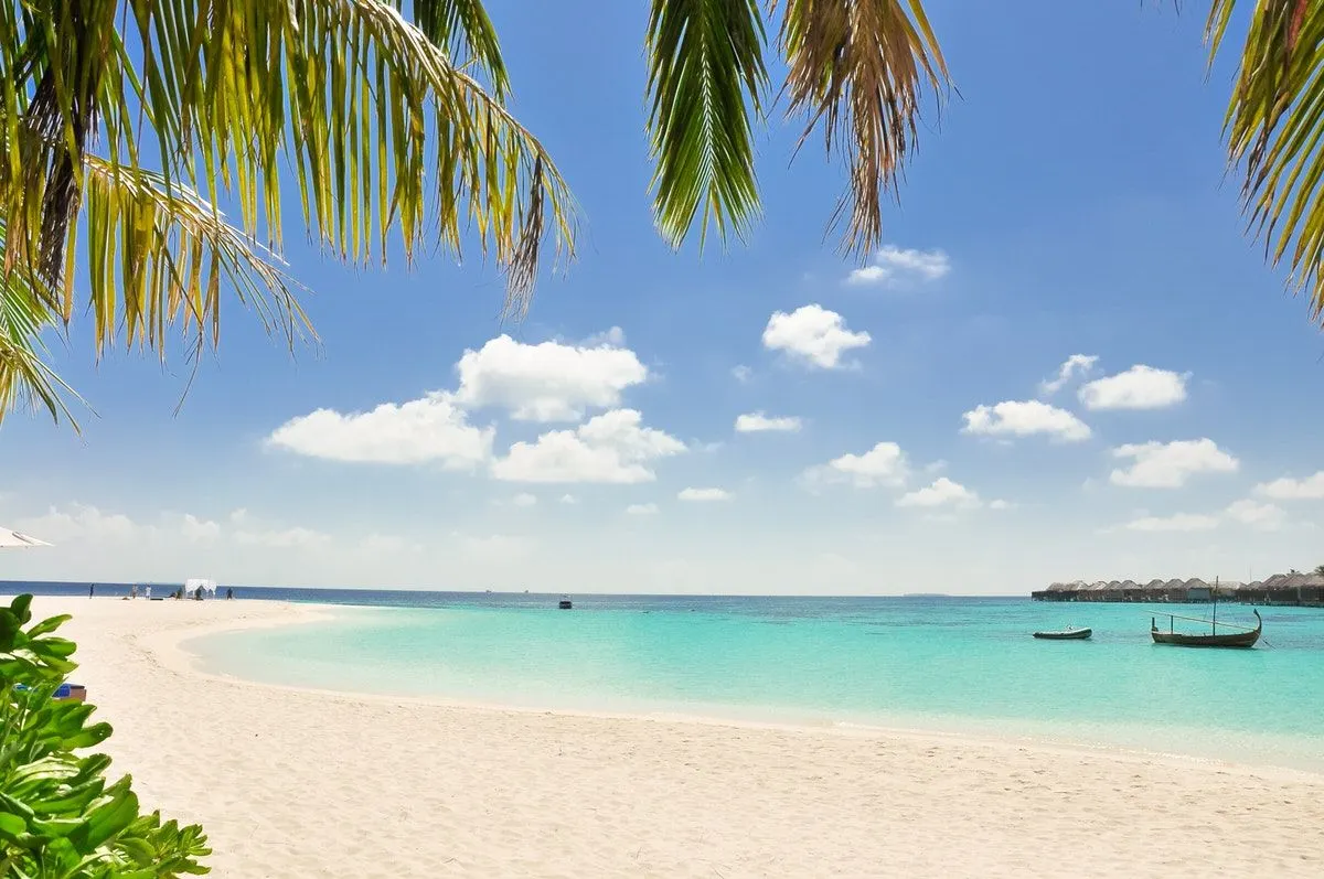 The best beaches in New Zealand for every type of traveler