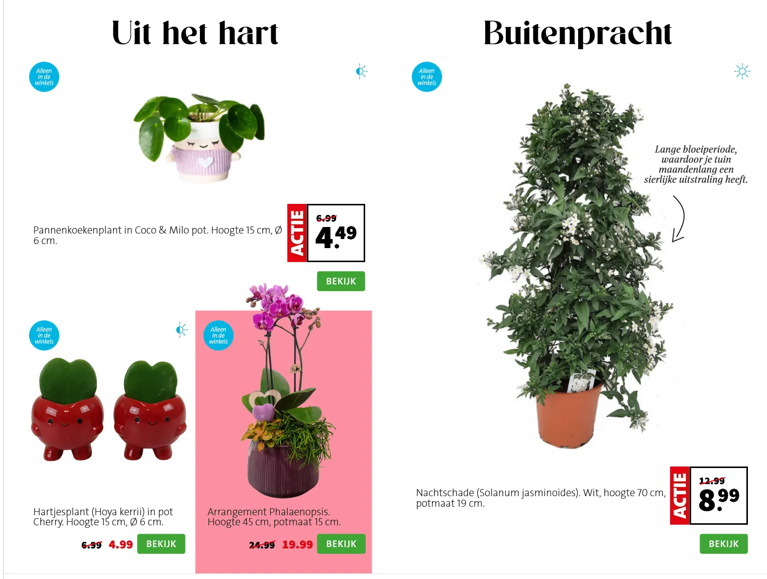 Intratuin folders van 27 april tot 3 mei 2026 - Folder pagina 2