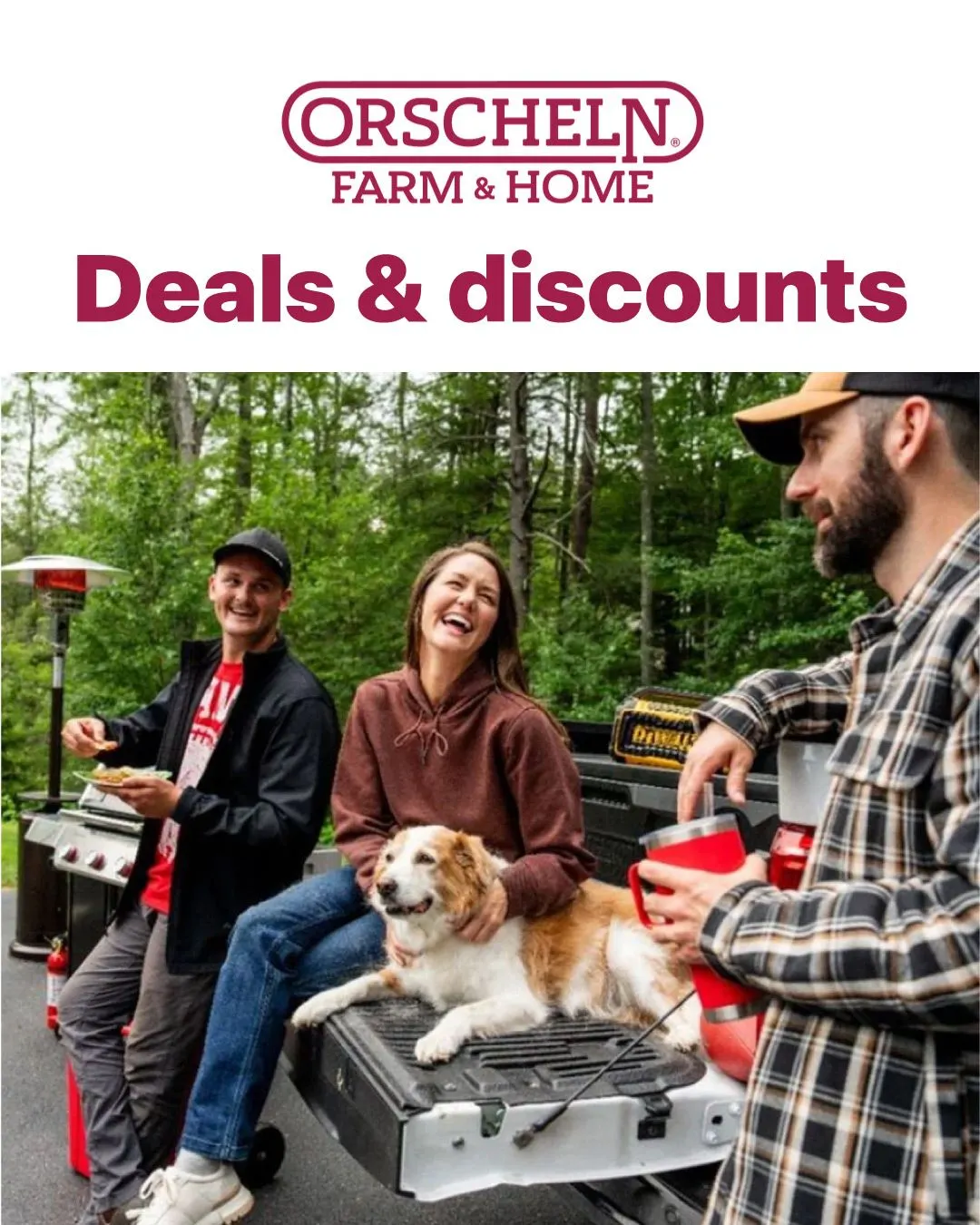 Weekly ad Christmas deals from December 12 to December 31 2024 - Page