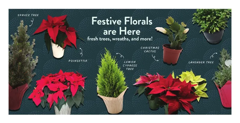 Weekly ad Fresh Thyme Sales from December 17 to December 23 2025 - Page 2