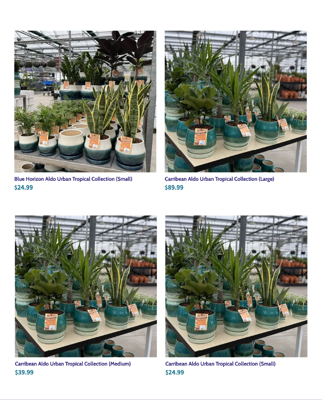  Terra Green Houses Sales from February 25 to March 16 2026 - flyer page 3