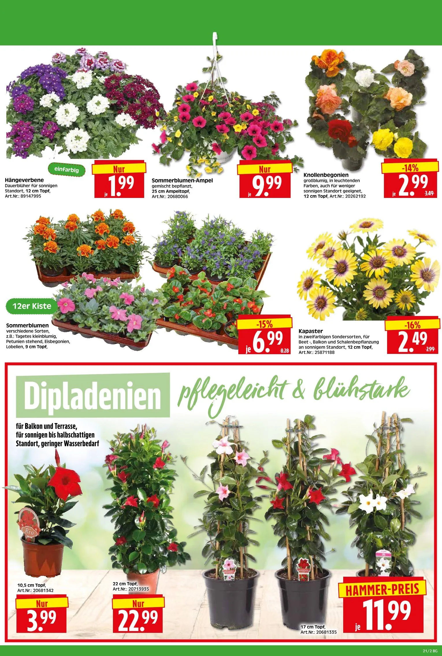  Herkules Baumarkt Prospekte  von 18. Mai bis 25. Mai 2026 - Prospekt seite 2
