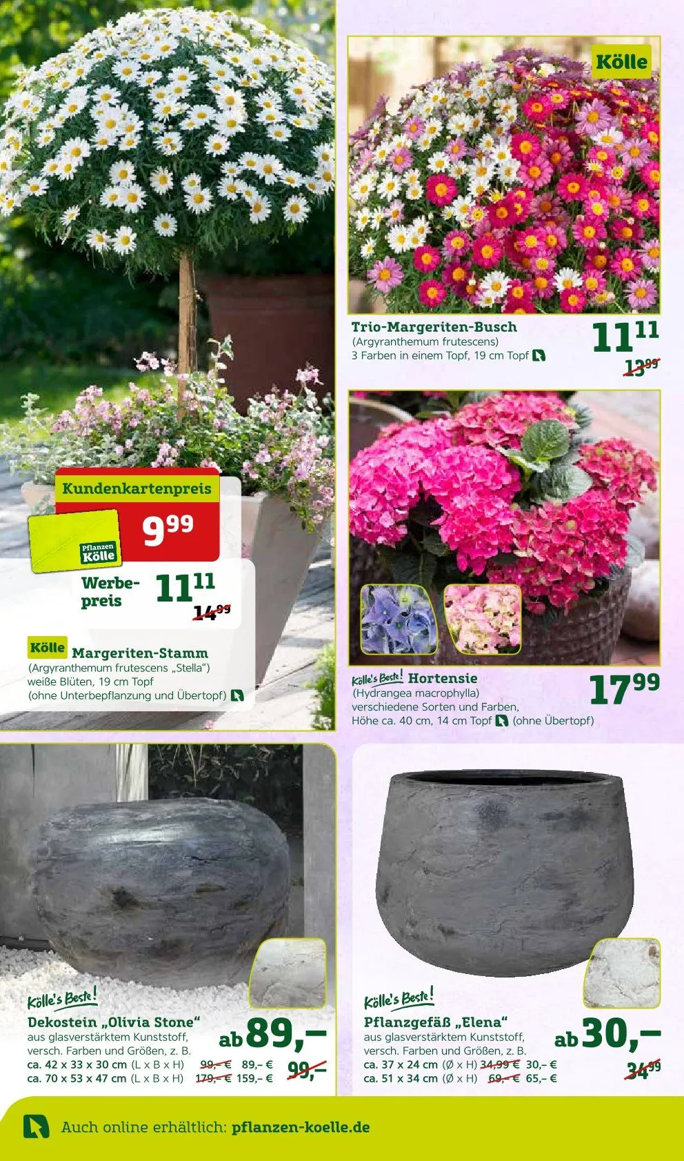 Angebote Pflanzen-Kölle von 31. März bis 6. April 2025 - Prospekt seite 2
