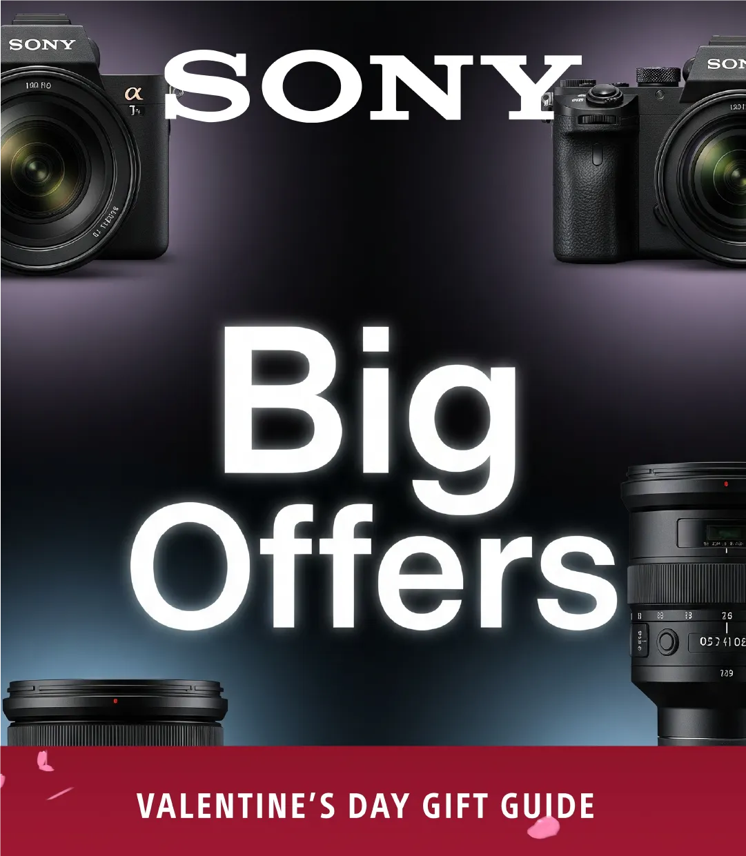 Sony Sales - February 10 February 24 2026