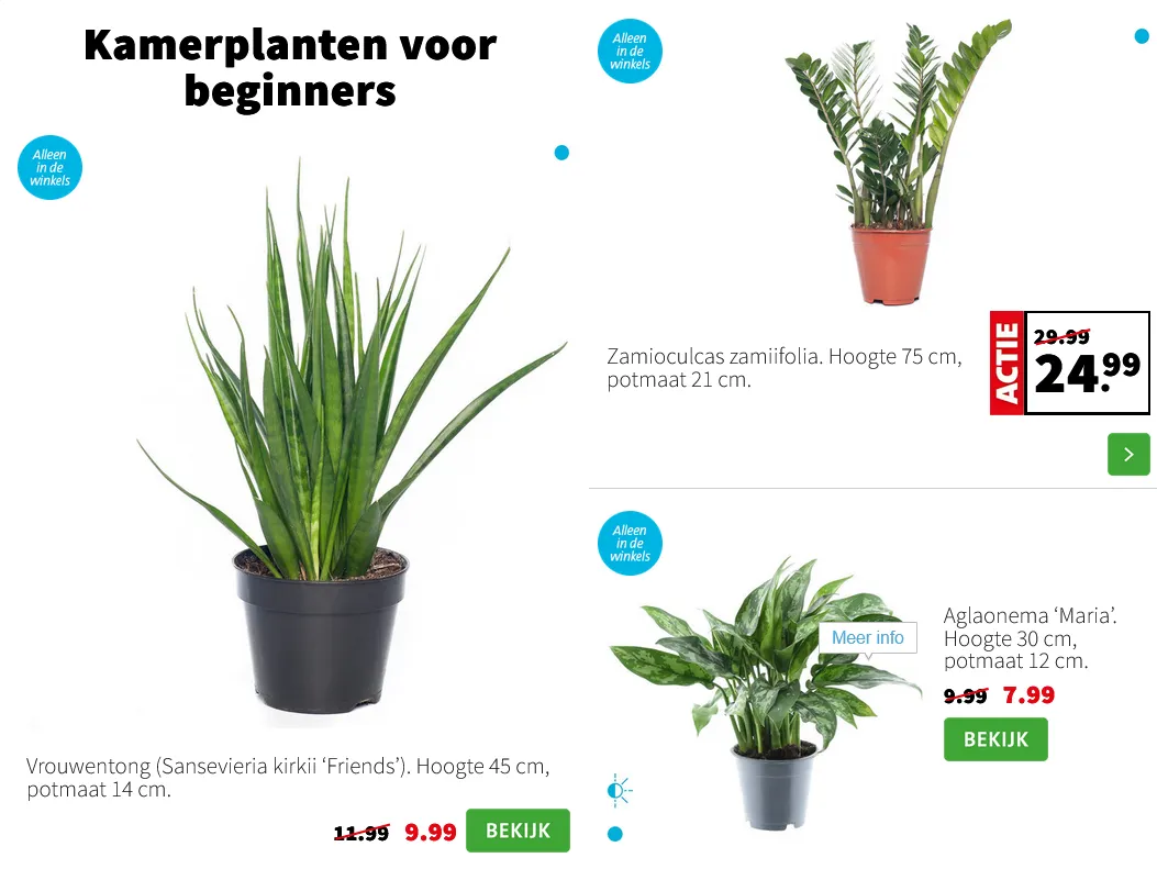 Intratuin folders van 12 januari tot 18 januari 2026 - Folder pagina 2