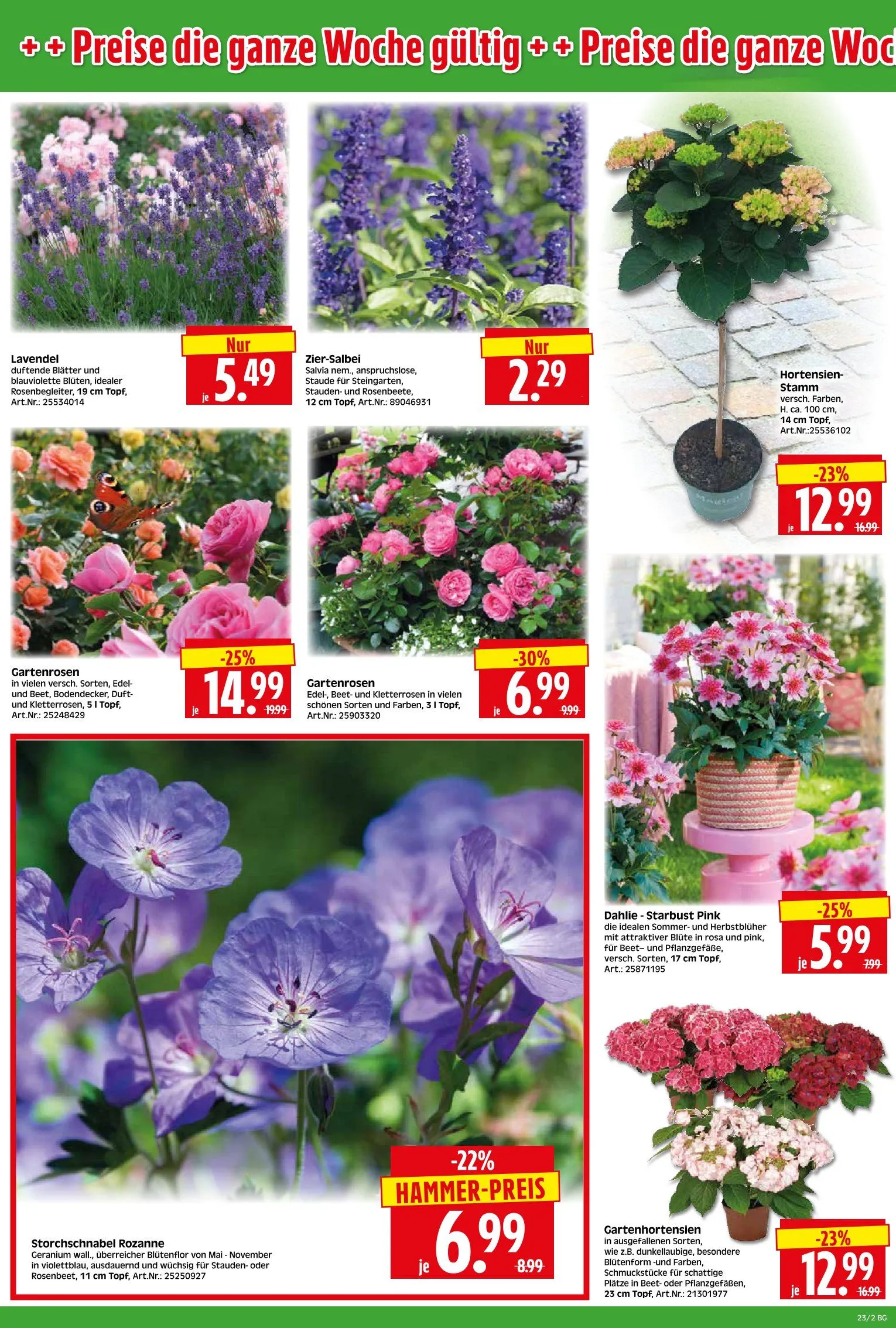 Herkules Baumarkt Angebote von 1. Juni bis 6. Juni 2026 - Prospekt seite 2