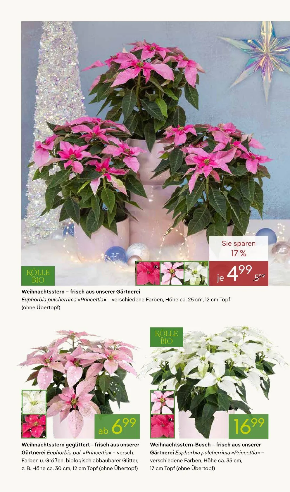  Dodenhof Prospekte von 3. November bis 8. November 2025 - Prospekt seite 2