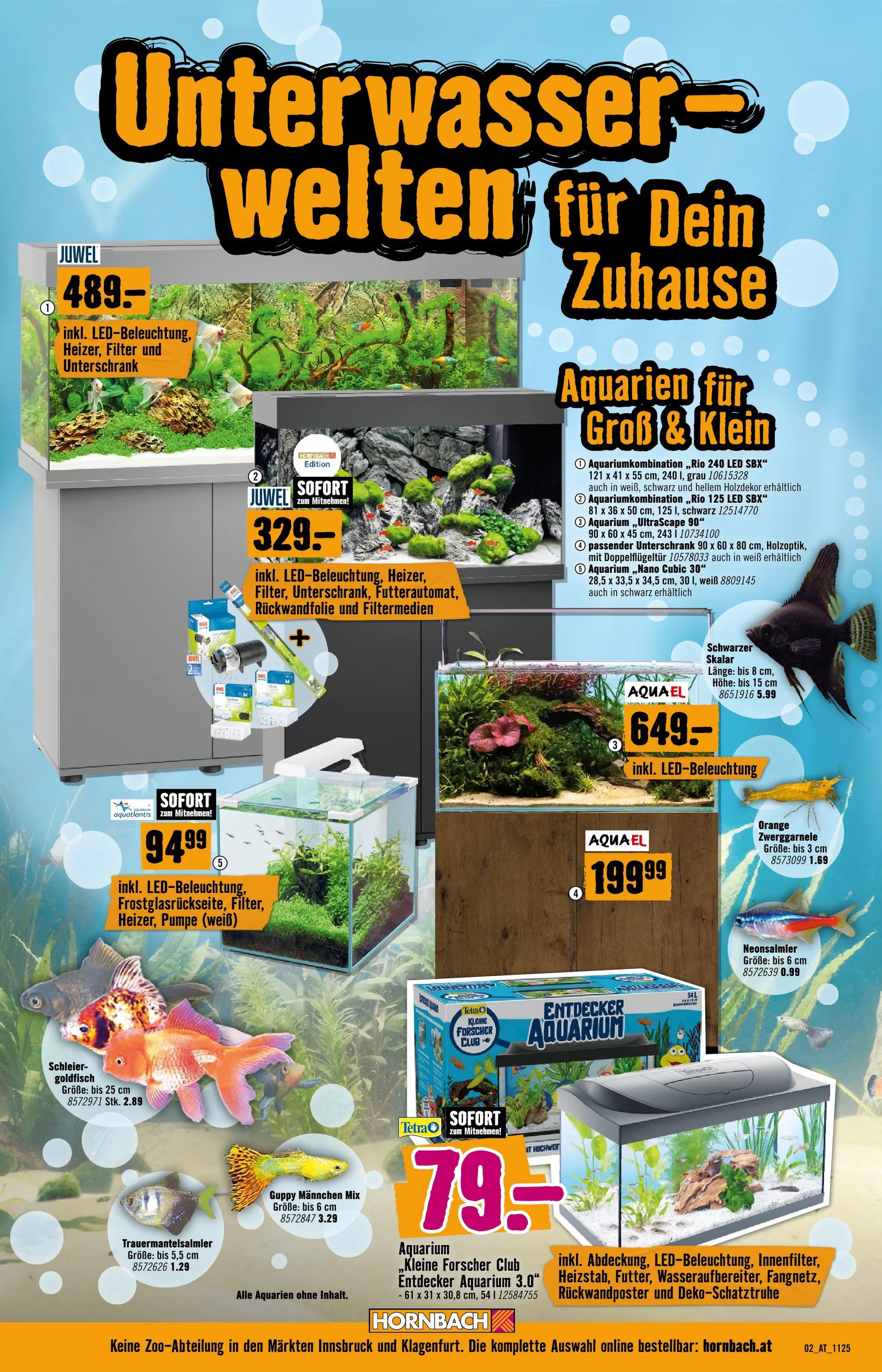 Rabatte von 6. Februar bis 28. Februar 2026 - Flugblätt seite  2