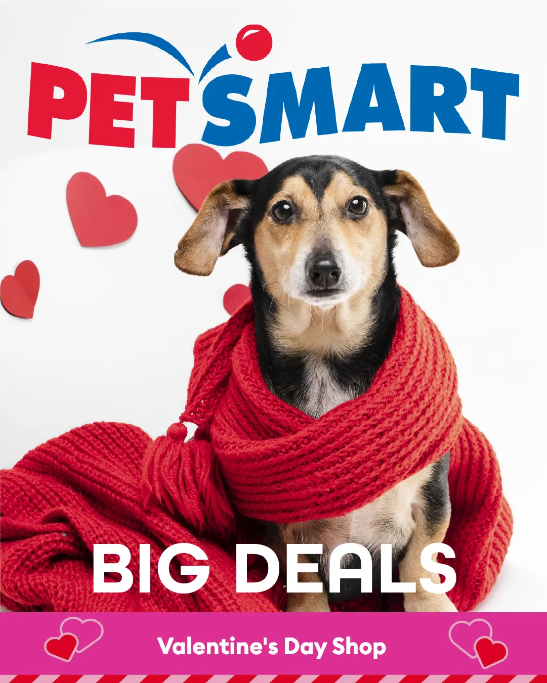 PetSmart Sales - February 6 February 20 2026