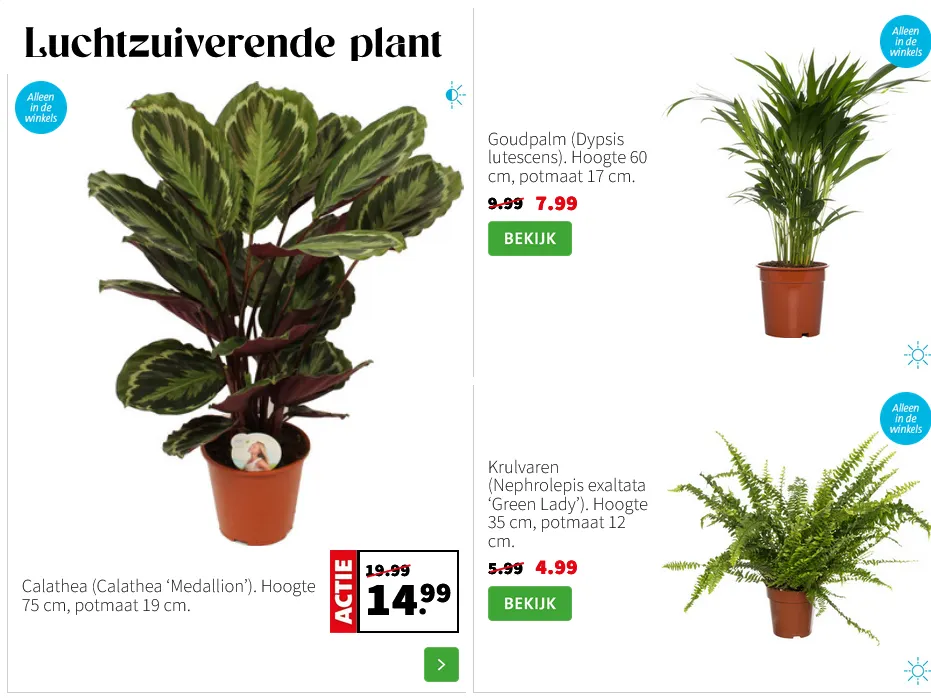  Intratuin folders van 2 februari tot 8 februari 2026 - Folder pagina 2