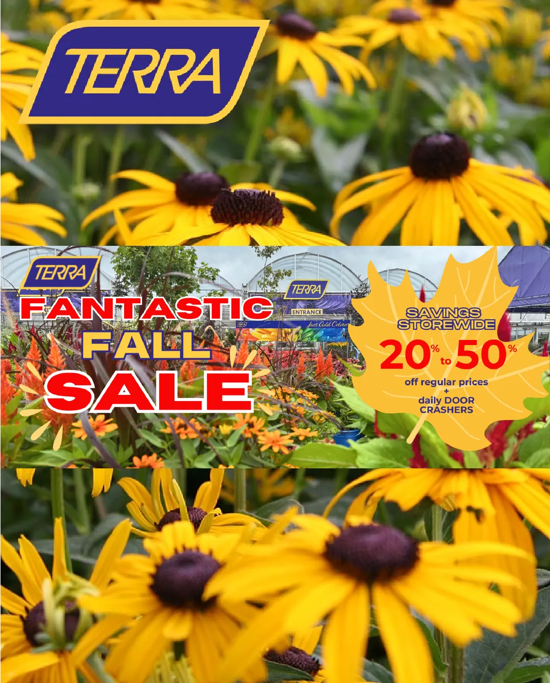 Flyer from September 25 to October 10 2025 - flyer page 1