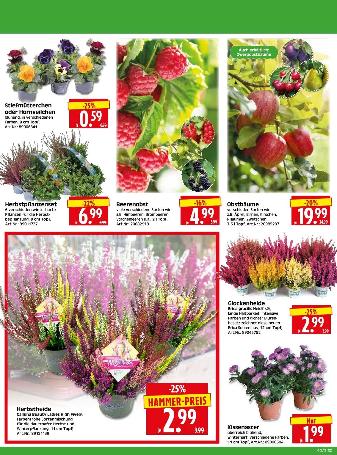 Herkules Baumarkt Prospekte von 29. September bis 4. Oktober 2025 - Prospekt seite 2