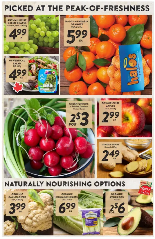 Nesters Market  Sales from April 9 to April 15 2026 - flyer page 2