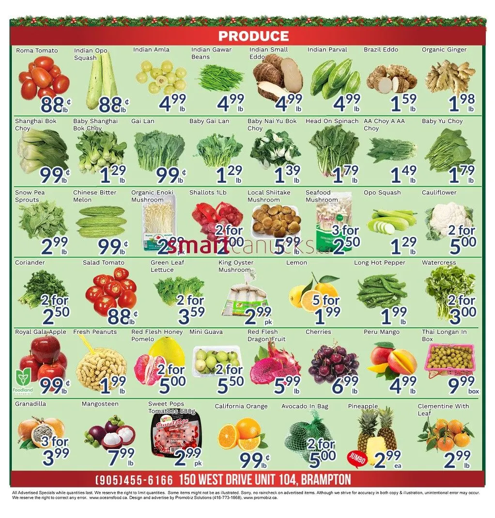 Oceans Sales from December 19 to December 25 2025 - flyer page 2