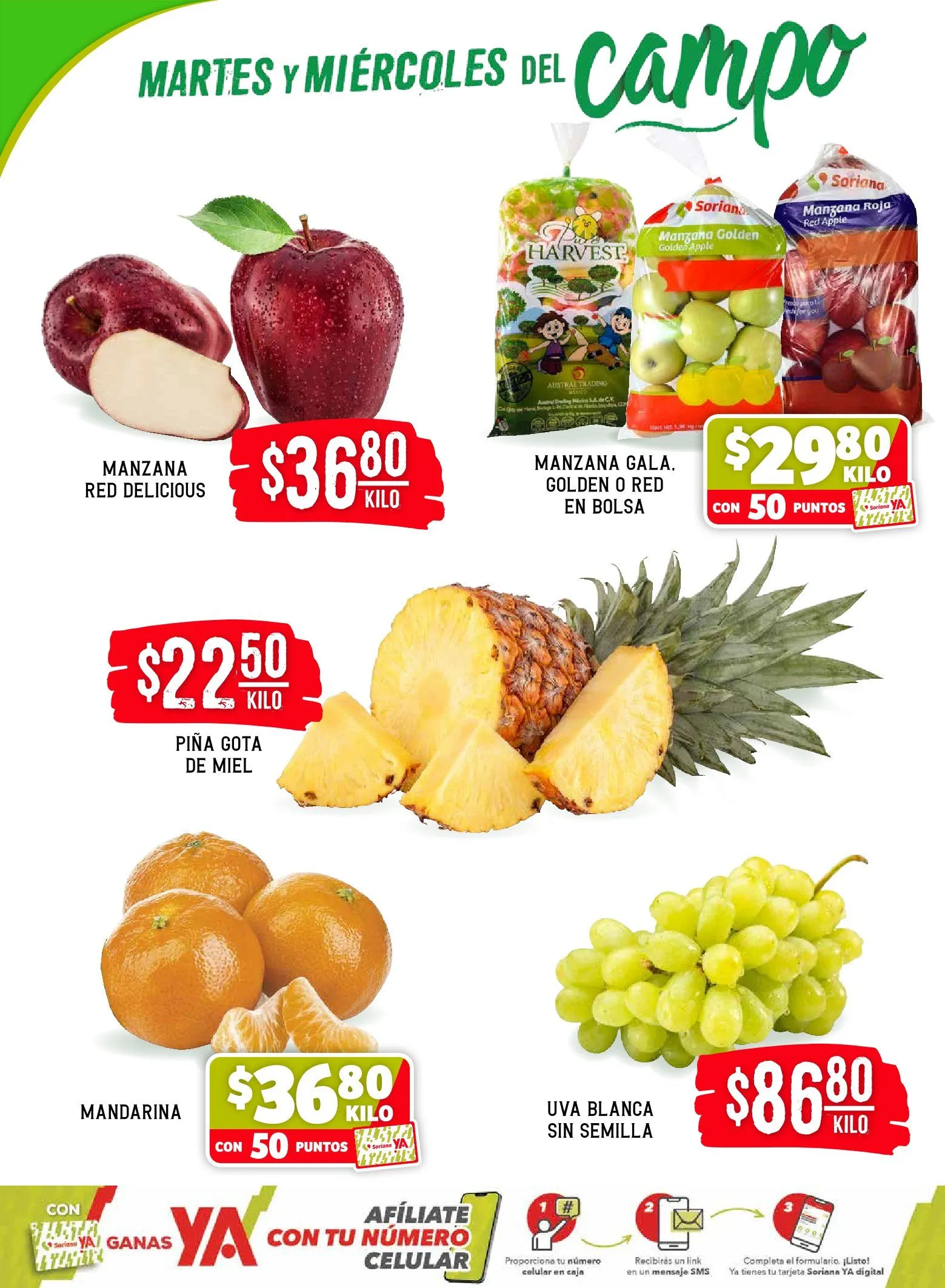 Catálogo de Ofertas 10 de marzo al 12 de marzo 2026 - Pagina 2