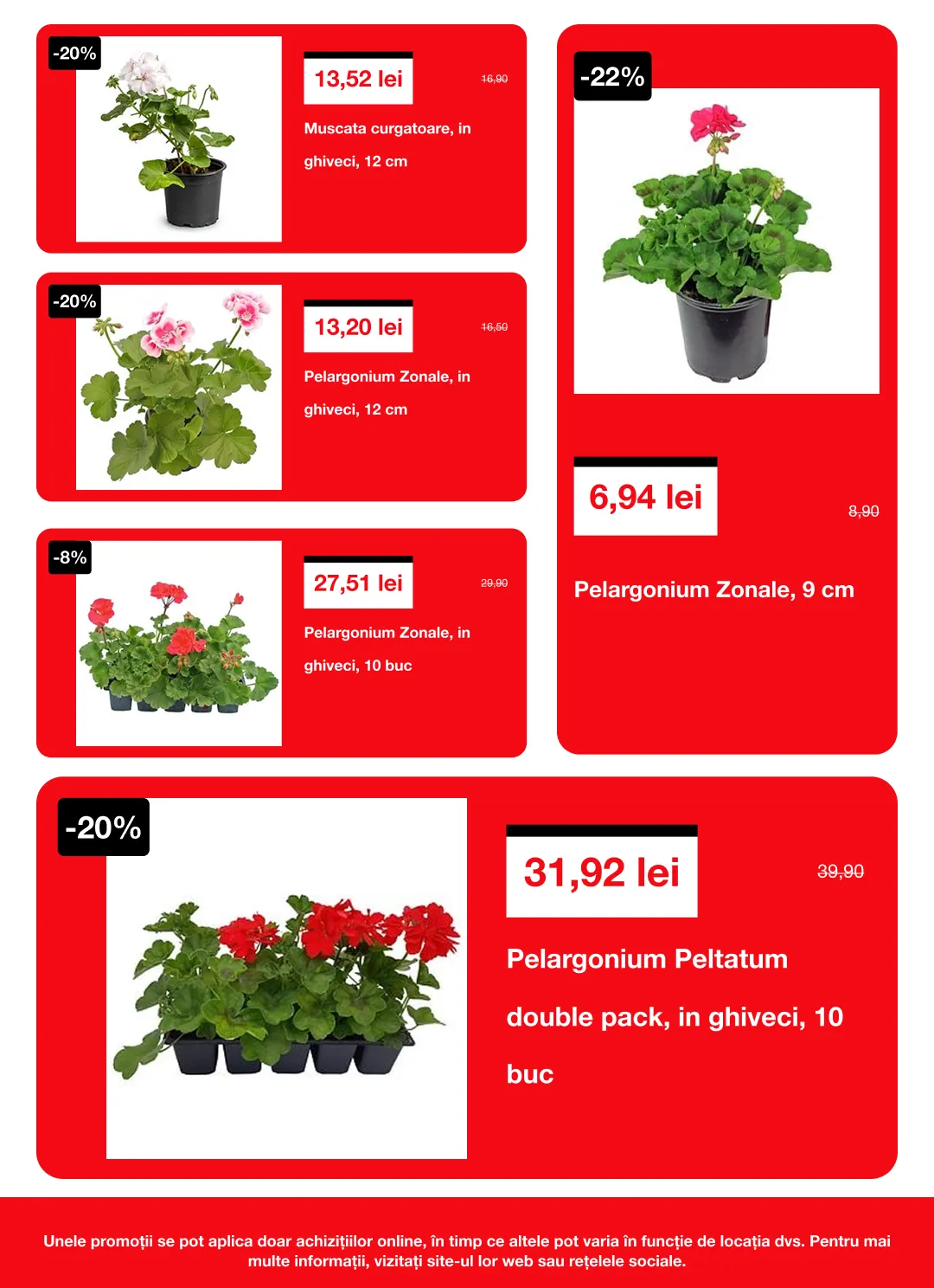 Catalog  Brico Depot de la 16 aprilie până la 6 mai 2026 - Revista Pagina 2